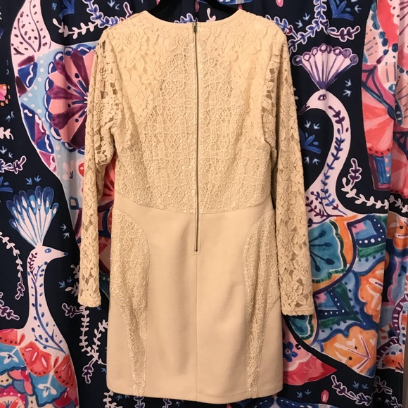 Plenty by TR “Romona” lace dress NWOT - Picture 4 of 8